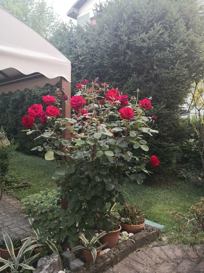 La Casa Di Tino Otel Fontanellato Dış mekan fotoğraf